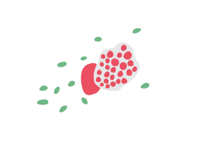 Sexually Transmitted Diseases – SexualityHUB HK